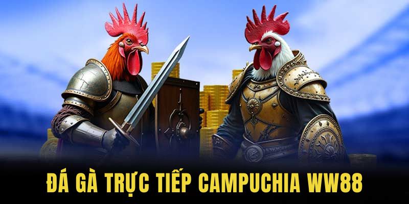 Giới thiệu đá gà trực tiếp Campuchia WW88