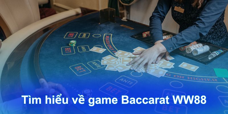 Tìm hiểu về game Baccarat WW88