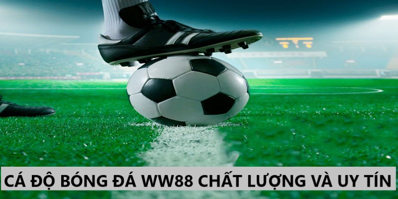 cá độ bóng đá WW88