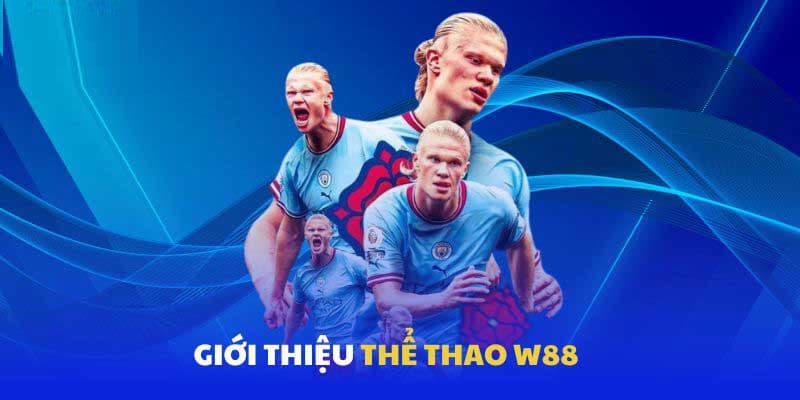 Giới thiệu về cá cược thể thao tại sân chơi WW88